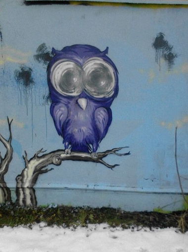 Graffiti Wall - Photo by dogtowner - Owl