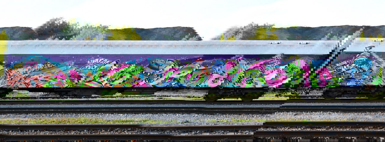 Graffiti Train - Photo by doits