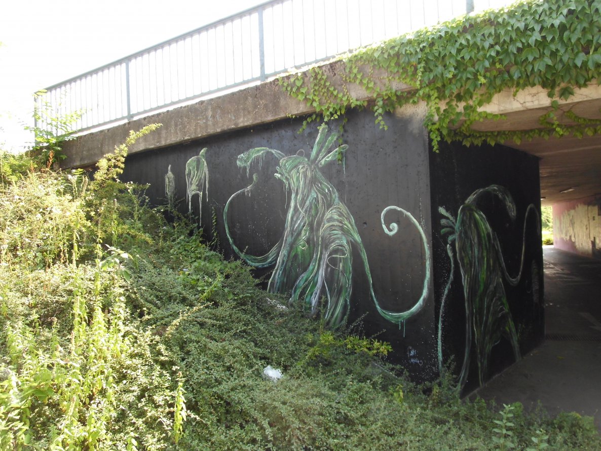 Graffiti Wall in Freiburg - Photo by dolores - dust