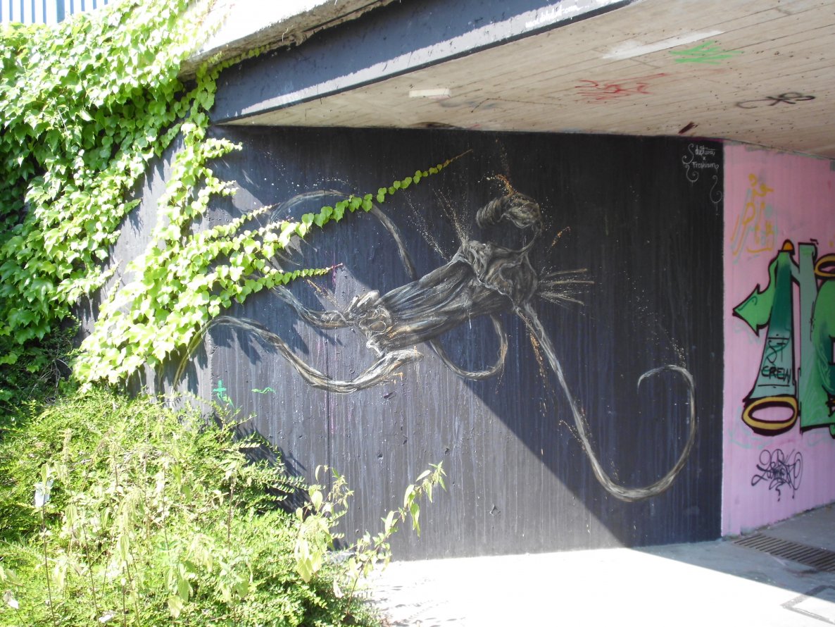 Graffiti Wall in Freiburg - Photo by dolores - dust