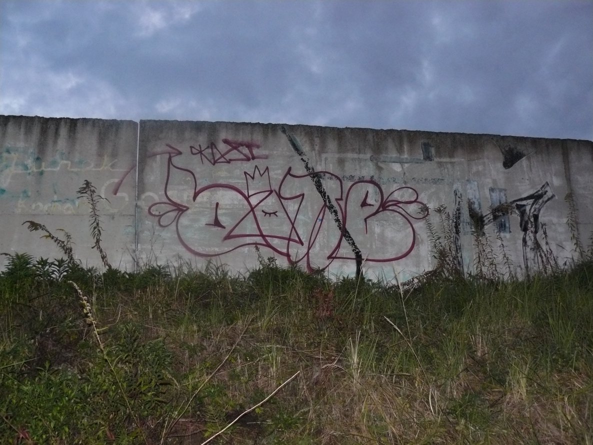 Graffiti Bombing - Photo by done8 - done, kdsc (2013)