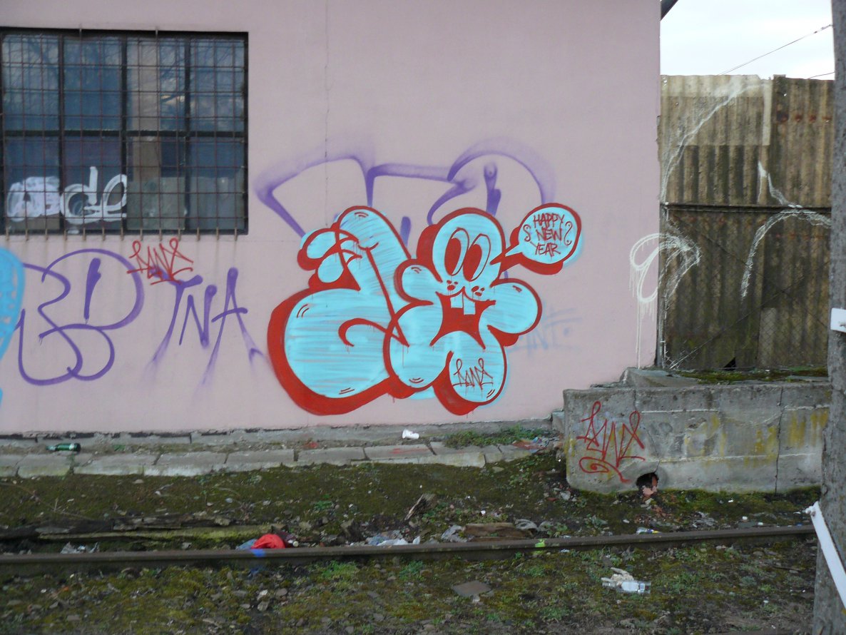 Graffiti Bombing - Photo by done8 - done, kdsc (2013)