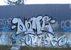 Photo #74571 by Elmooner