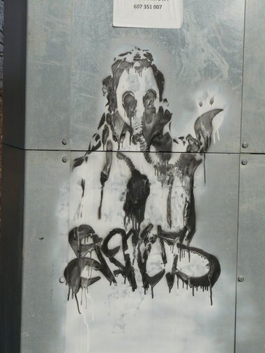 Graffiti Street Art - Photo by done8 - done (2013)