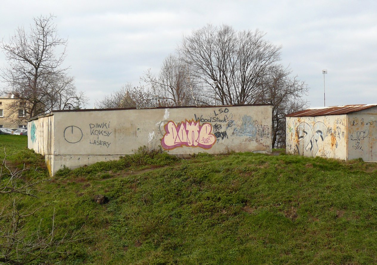 Graffiti Bombing - Photo by done8 - done (2013)