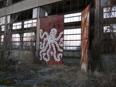 Graffiti Street Art - Photo by done8 - done, octopus (2014)
