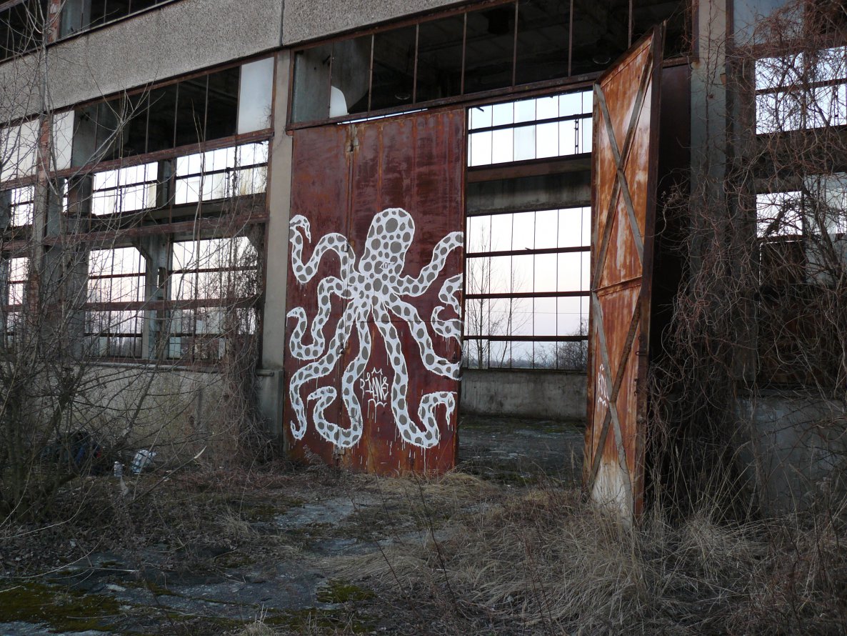 Graffiti Street Art - Photo by done8 - done, octopus (2014)