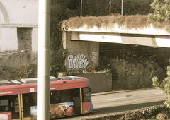 Photo #129647 by TagHagel