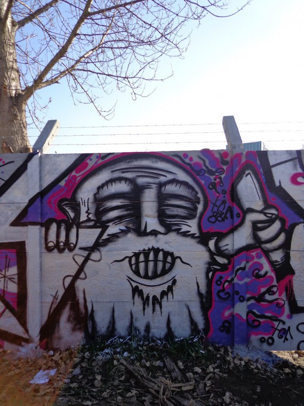 Graffiti Wall - Photo by dreadlooks (2013)