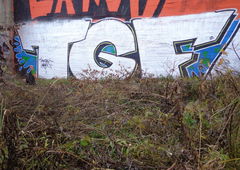 Photo #89829 by Frizeart77