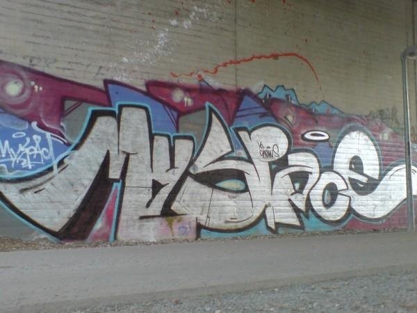 Graffiti Bombing in Bayreuth - Photo by dripslover - myspace, mspc (2009)