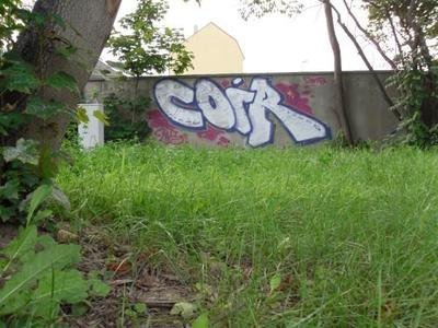 Graffiti Bombing in Bayreuth - Photo by dripslover - coir, hls (2011)