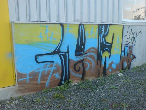 Graffiti Bombing in Bayreuth - Photo by dripslover - ghw