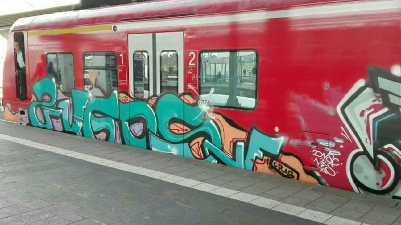 Graffiti Train in Heidelberg - Photo by dripslover - dns, dnsc, nils (2016)