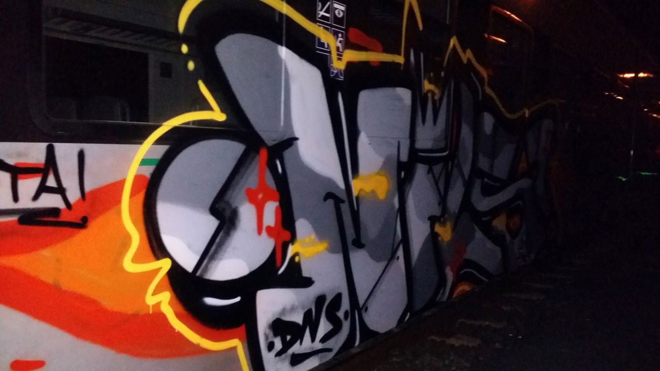 Graffiti Train in Hof - Photo by dripslover - nils, dns, dnsc (2016)
