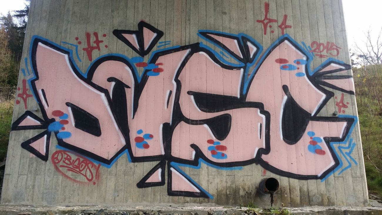 Graffiti Wall in Bayreuth - Photo by dripslover - dnsc, dns, bigos (2015)