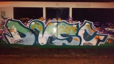 Graffiti Train in Plauen - Photo by dripslover - dnsc, dns, bigos (2016)