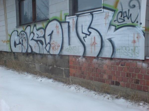 Graffiti Bombing in Bayreuth - Photo by dripslover - ghw, coks, quek