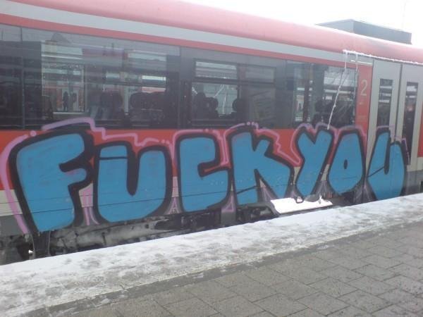 Graffiti Train in Nürnberg - Photo by dripslover - fuck, you
