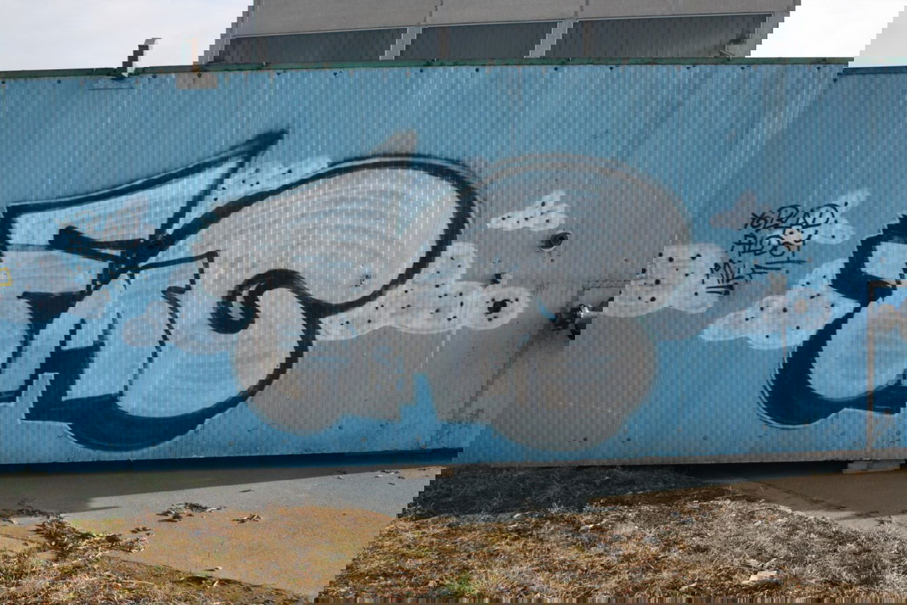 Graffiti Bombing in Bayreuth - Photo by dripslover - fmg, dsk (2015)