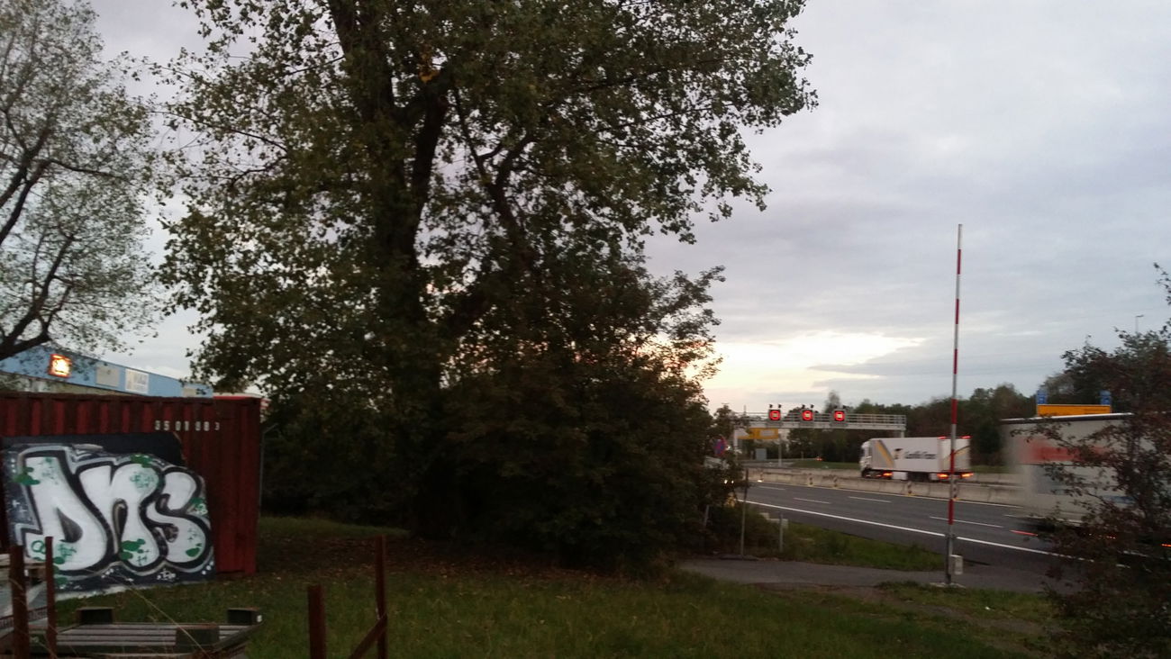 Graffiti Wall in Bayreuth - Photo by dripslover - dns