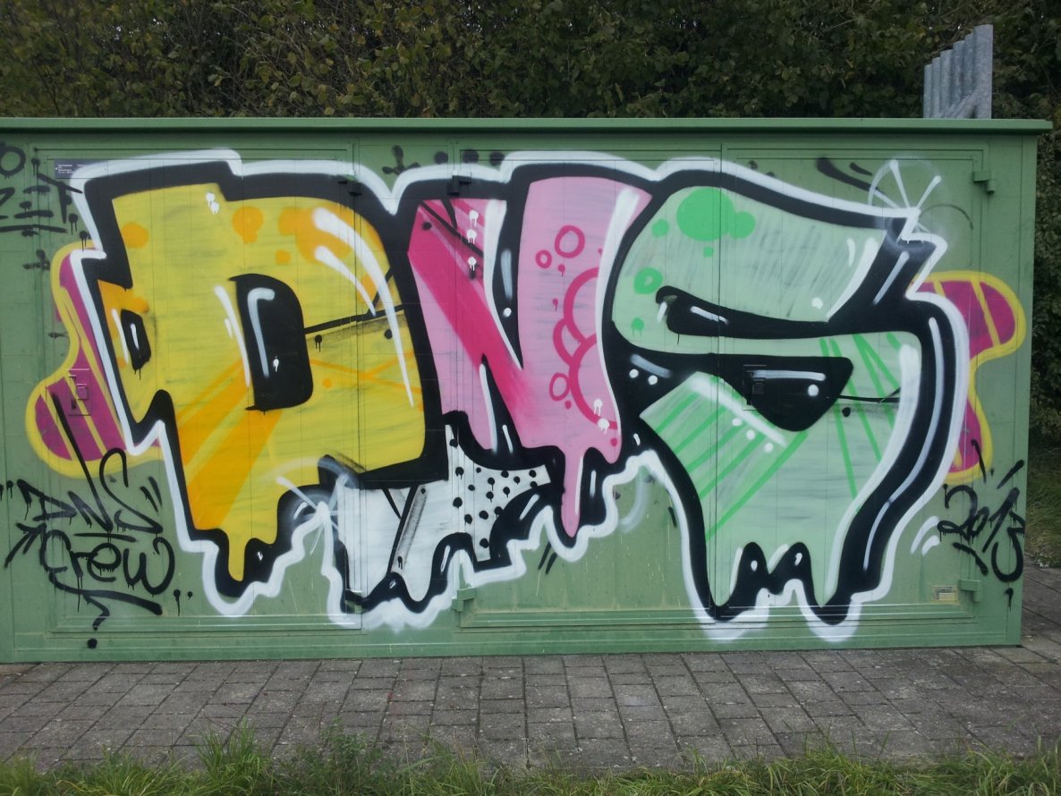 Graffiti Bombing in Bayreuth - Photo by dripslover - dns (2013)