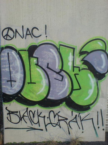 Graffiti Bombing in Bayreuth - Photo by dripslover - quek, ghw