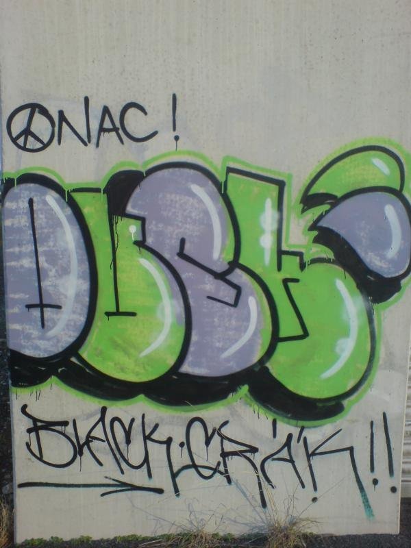 Graffiti Bombing in Bayreuth - Photo by dripslover - quek, ghw