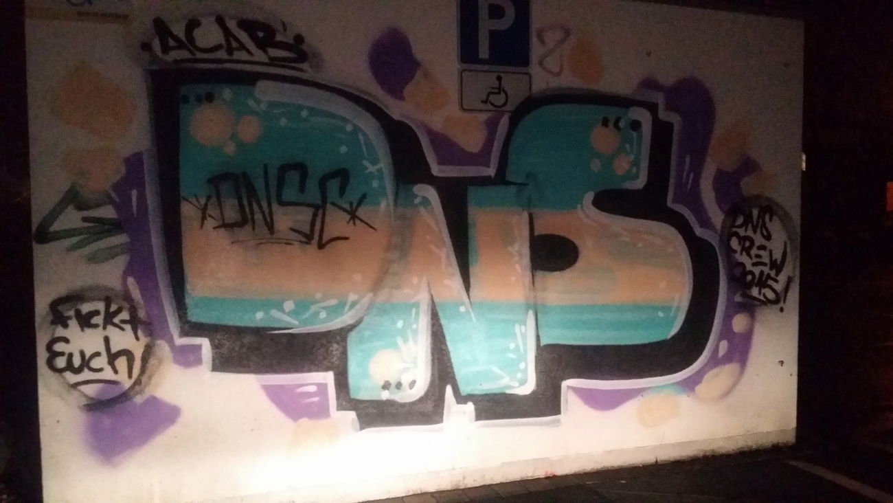 Graffiti Wall in Bayreuth - Photo by dripslover - dnsc, dns, acab (2015)