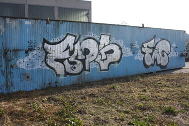 Graffiti Bombing in Bayreuth - Photo by dripslover - fmg, dsk (2015)