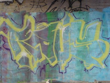 Graffiti Bombing in Bayreuth - Photo by dripslover - raus