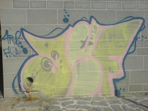 Graffiti Bombing in Bayreuth - Photo by dripslover - asf, arus