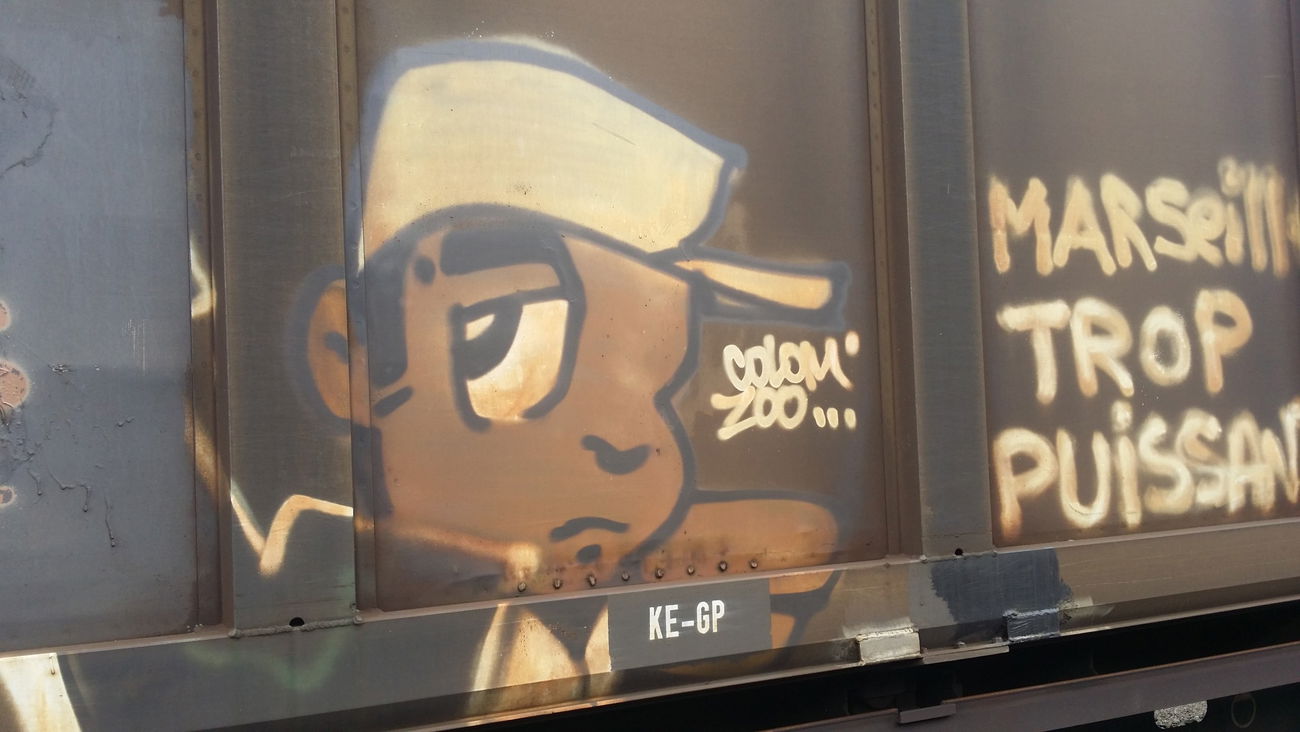 Graffiti Train - Photo by dripslover