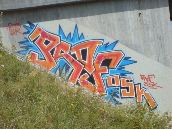 Graffiti Bombing in Bayreuth - Photo by dripslover - prof, hls (2009)