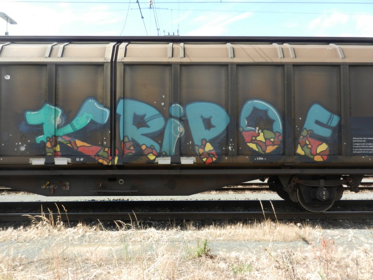 Graffiti Train in Frankfurt - Photo by dripslover - kripoe, the (2011)