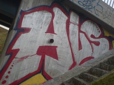 Graffiti Bombing in Bayreuth - Photo by dripslover - hls (2010)