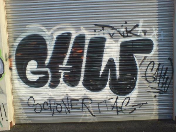 Graffiti Bombing in Bayreuth - Photo by dripslover - ghw