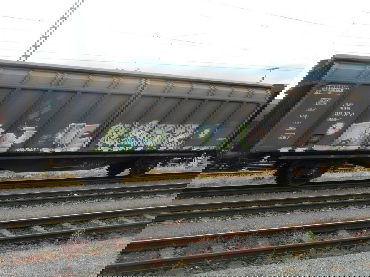 Graffiti Train in Frankfurt - Photo by dripslover