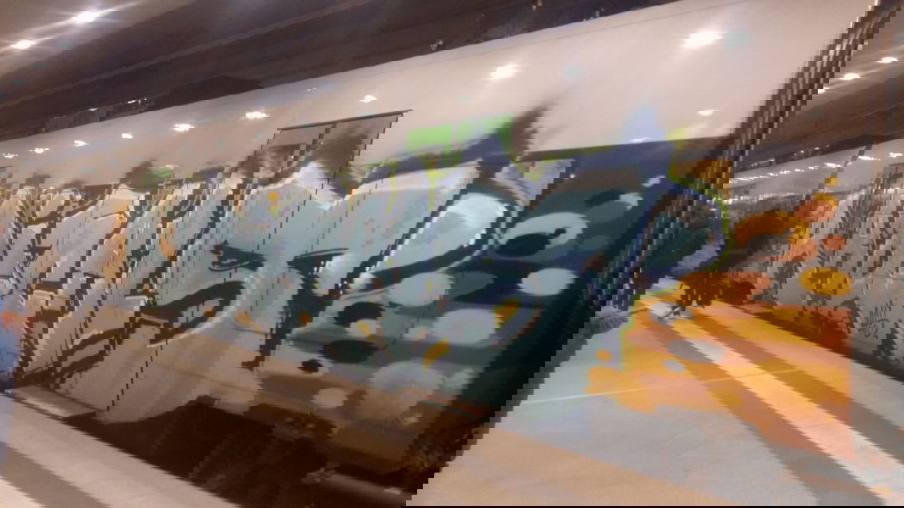 Graffiti Train in Leipzig - Photo by dripslover - radicals, rcs (2015)