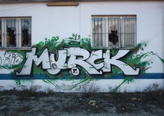 Photo #146008 by whonift