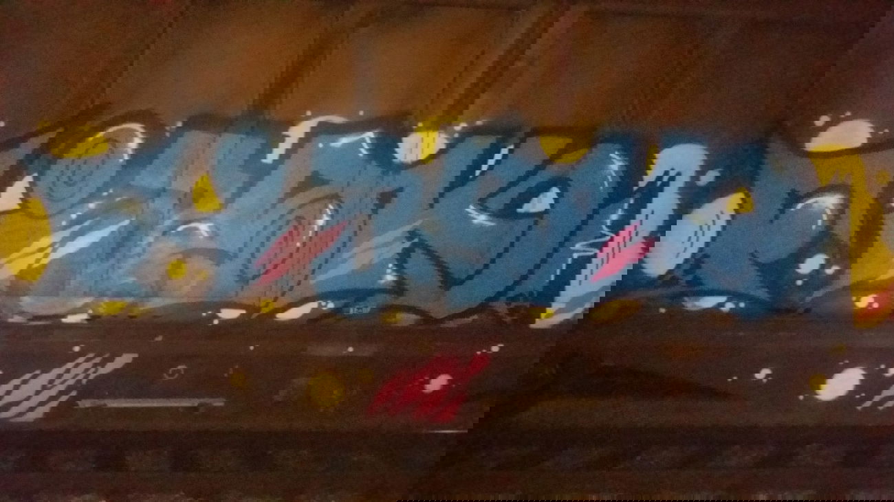 Graffiti Train in Bamberg - Photo by dripslover - fiasko