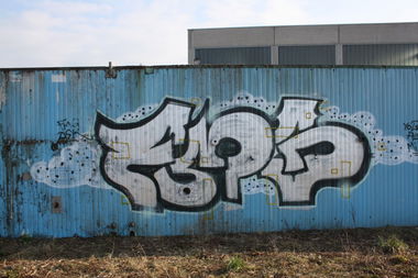 Graffiti Bombing in Bayreuth - Photo by dripslover - fmg, dsk (2015)
