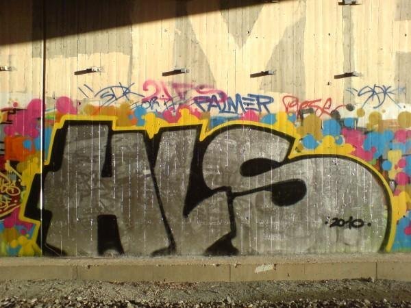 Graffiti Bombing in Bayreuth - Photo by dripslover - hls (2010)