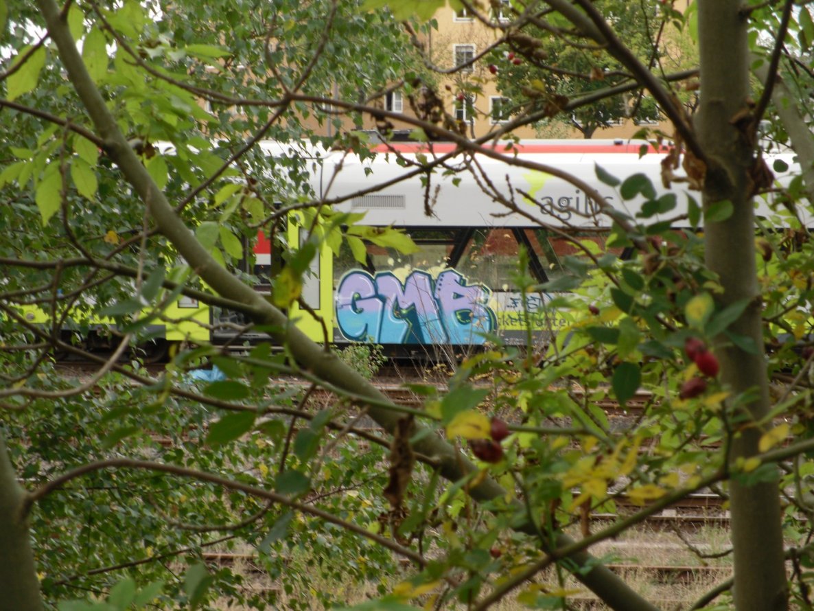 Graffiti Train in Bayreuth - Photo by dripslover - gmb