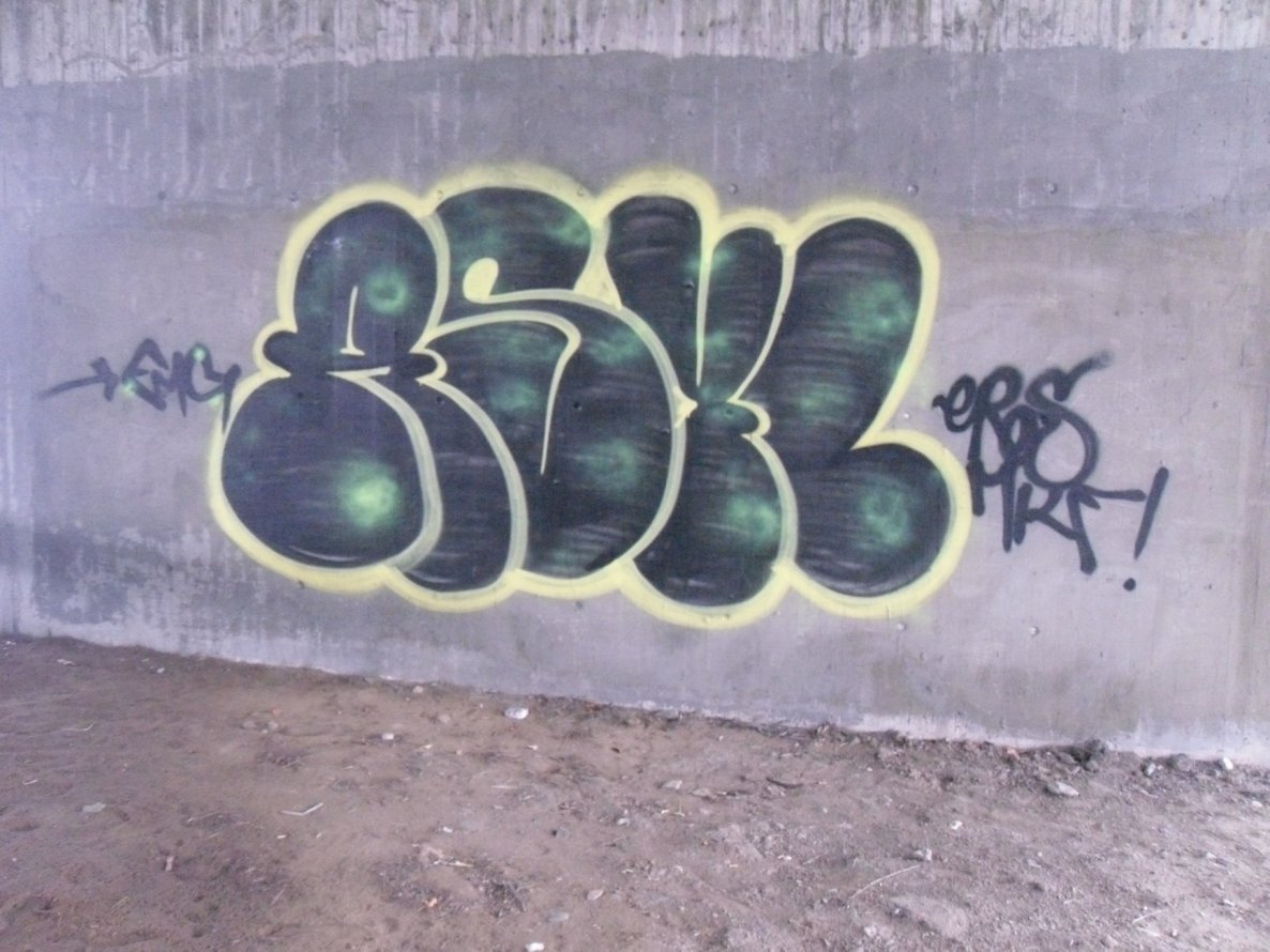 Graffiti Wall in Bayreuth - Photo by dripslover - fmg, asyl, milf