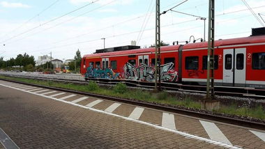 Graffiti Train in Heidelberg - Photo by dripslover - zugos, dns, dnsc (2016)
