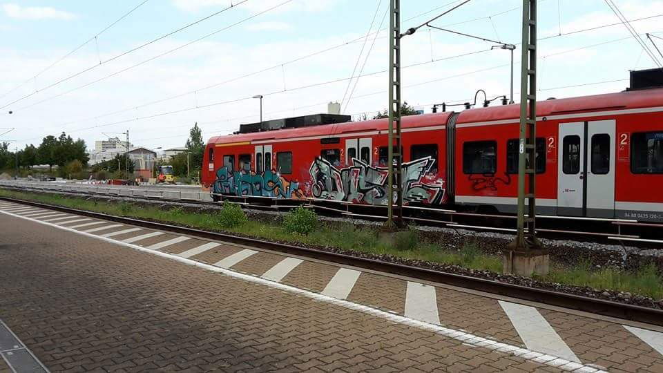 Graffiti Train in Heidelberg - Photo by dripslover - zugos, dns, dnsc (2016)