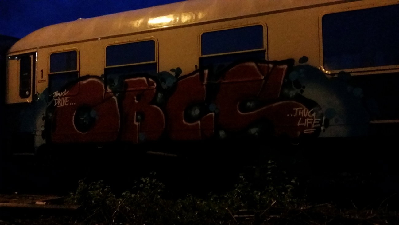 Graffiti Train - Photo by dripslover - obcs