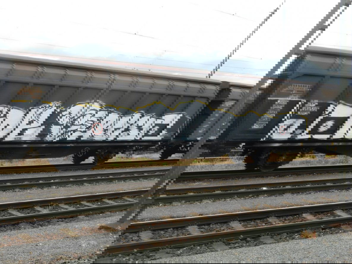 Graffiti Train in Frankfurt - Photo by dripslover