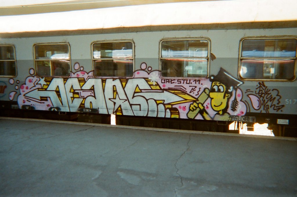 Graffiti Train - Photo by drkool